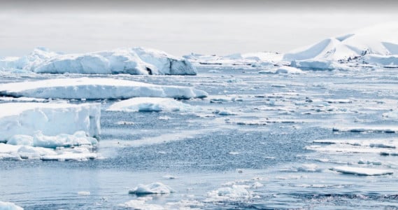 Полынья размером с Чехию: Ученые раскрыли тайну происхождения огромной дыры в морских льдах Антарктиды